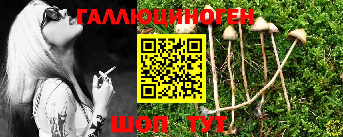 Галлюциногенные грибы GOLDEN TEACHER Пугачёв