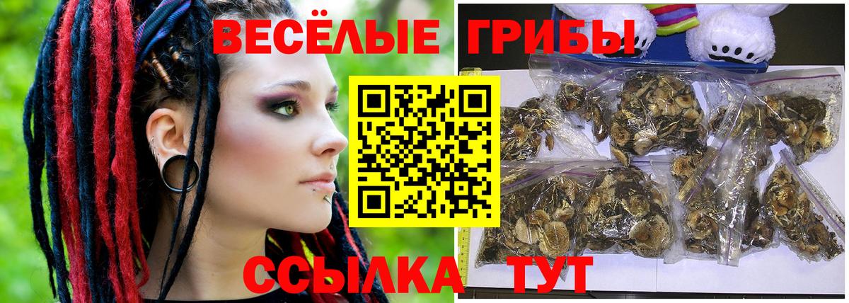 Галлюциногенные грибы Cubensis  Вход с VPN  Пугачёв  Псилоцибиновые грибы GOLDEN TEACHER 