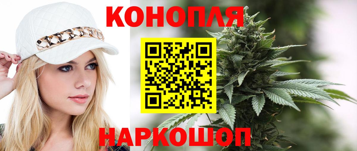 Канабис план Пугачёв